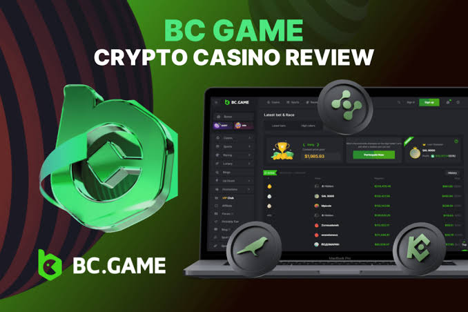 Understanding the BC.Game Mirror Login Process -462185494